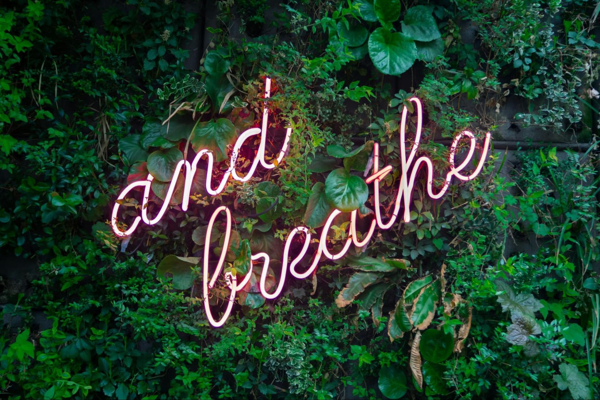 Neon sign saying "and breathe" on a green bush