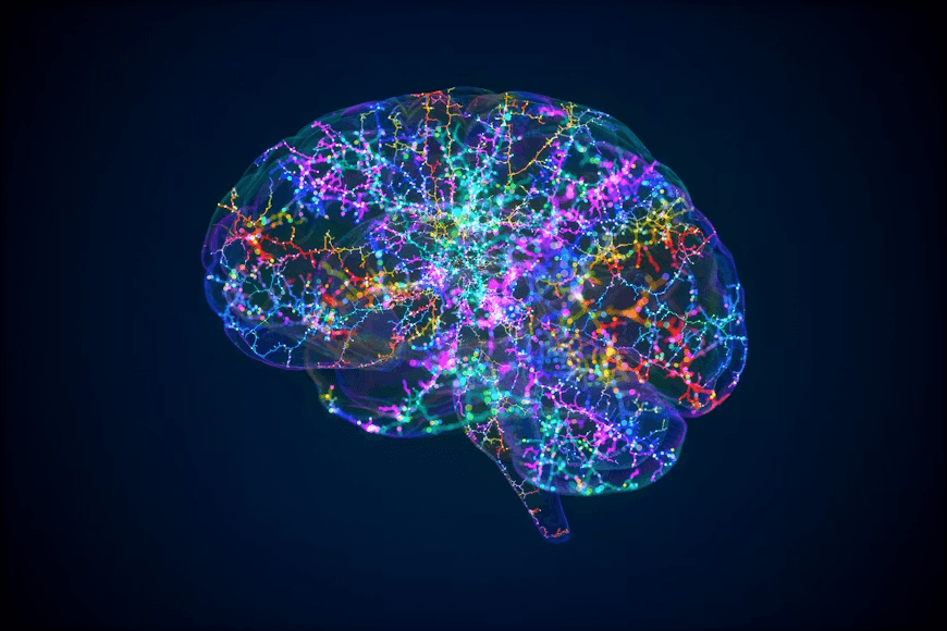 Funzioni cognitive ISFP: Comprendere la mente dell'Avventuriero