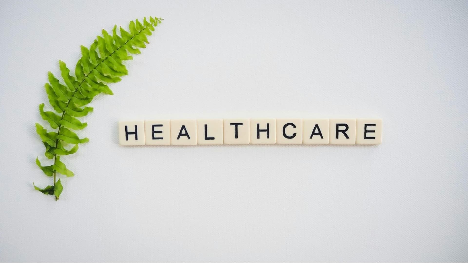 Wooden tiles spelling out “healthcare” on a flat surface, with a green plant next to them
